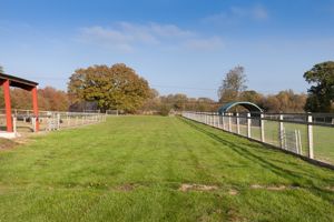 Garden / Land - click for photo gallery